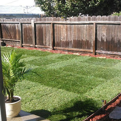 Landscaping
